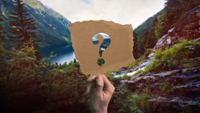 人类在景观面前掌握信息