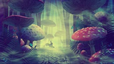 爱丽丝梦游仙境画的远处的白兔