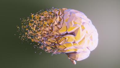 神经多样性培训