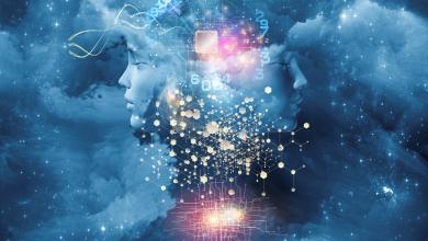 看教练科学betway必威官网平台