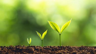 树木增长客户教育